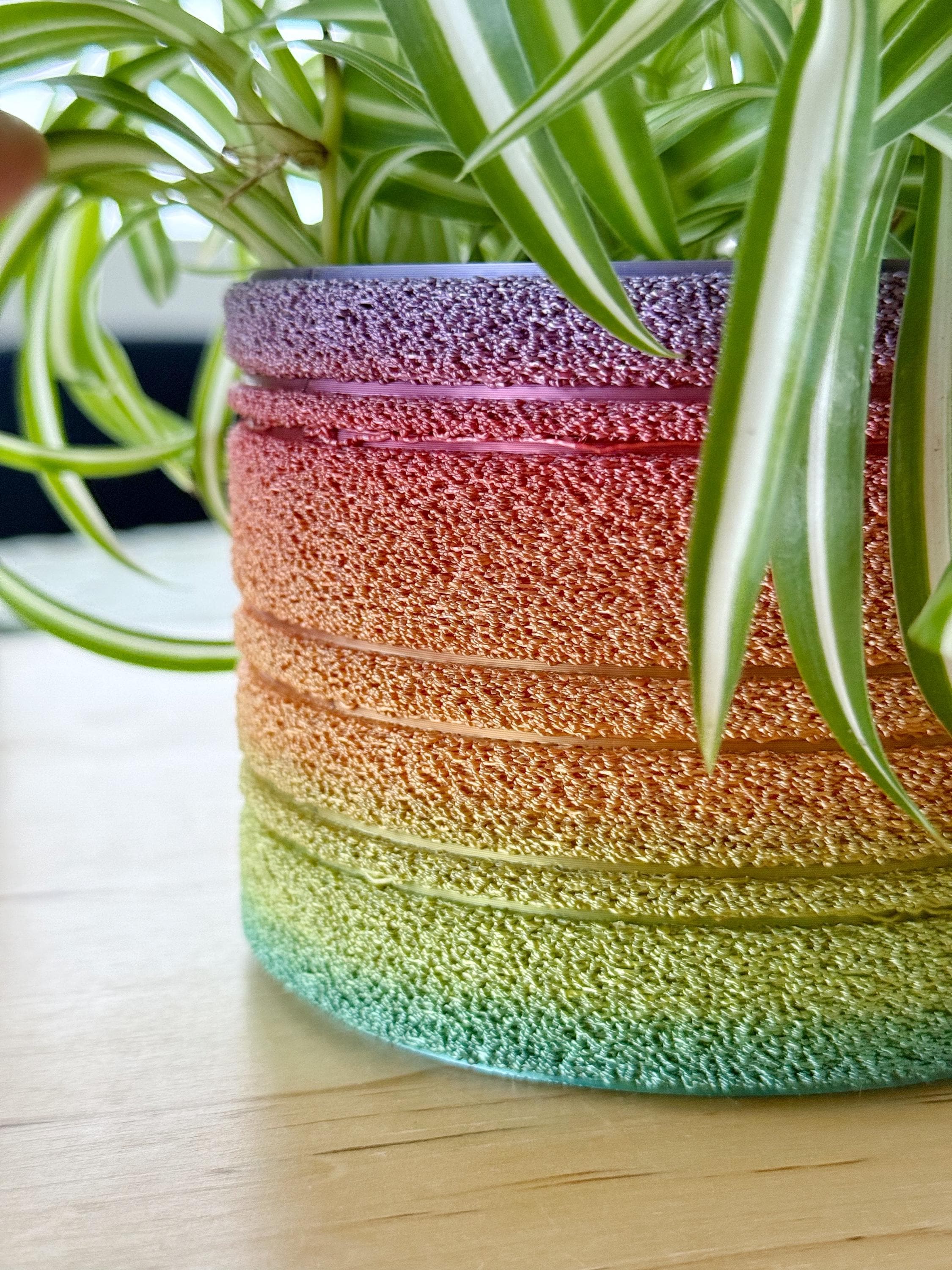 Close-up of the fuzzy 3D printed texture on a classic rainbow planter with a spider plant