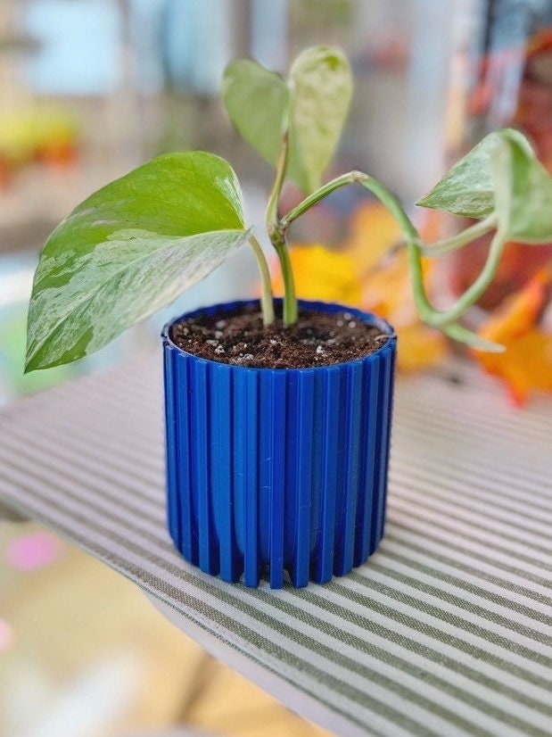 Dark blue Modern Fluted Planter with a pothos cutting on a striped table