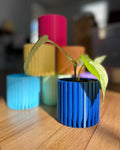 A small green plant in a bright blue ribbed cylindrical pot, with several other colorful pots in the background on a wooden table.