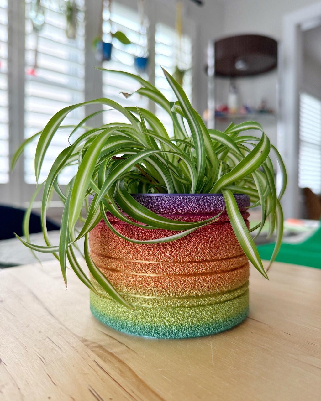 Fuzzy Rainbow Planter, 3D printed 4-inch textured pot in classic rainbow gradient, holding a spider plant on a wood table
