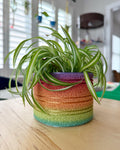 Fuzzy Rainbow Planter, 3D printed 4-inch textured pot in classic rainbow gradient, holding a spider plant on a wood table