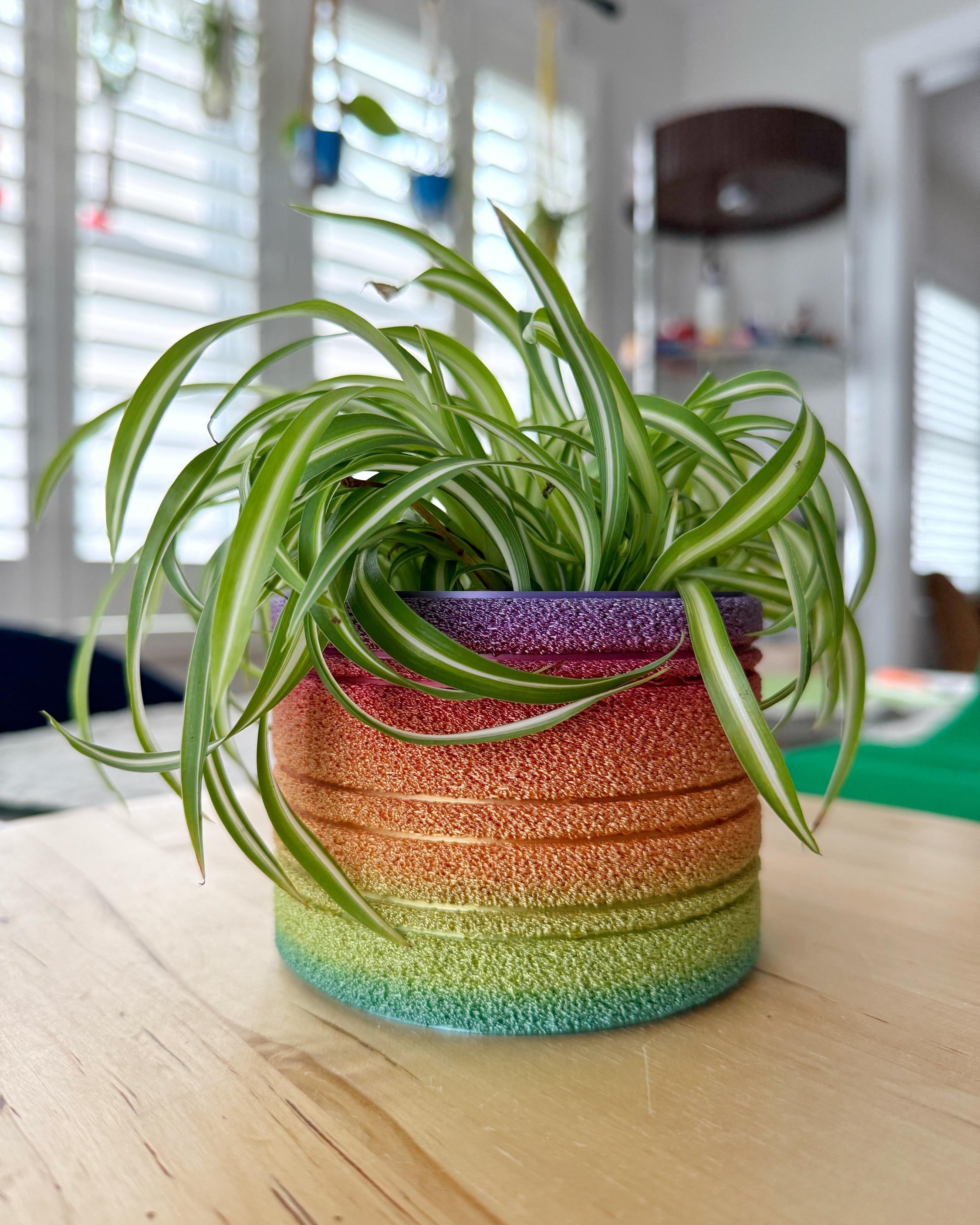 Fuzzy Rainbow Planter, 3D printed 4-inch textured pot in classic rainbow gradient, holding a spider plant on a wood table