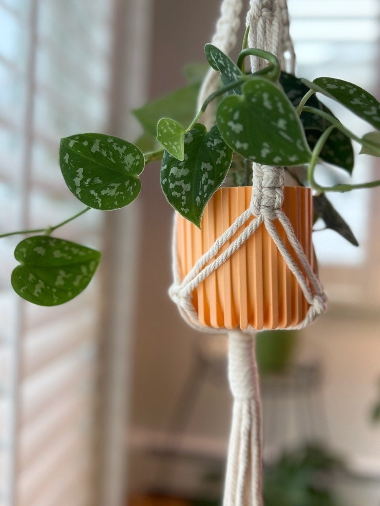 Peach 3D printed Modern Fluted Planter holding a pothos in a macrame hanger by a window