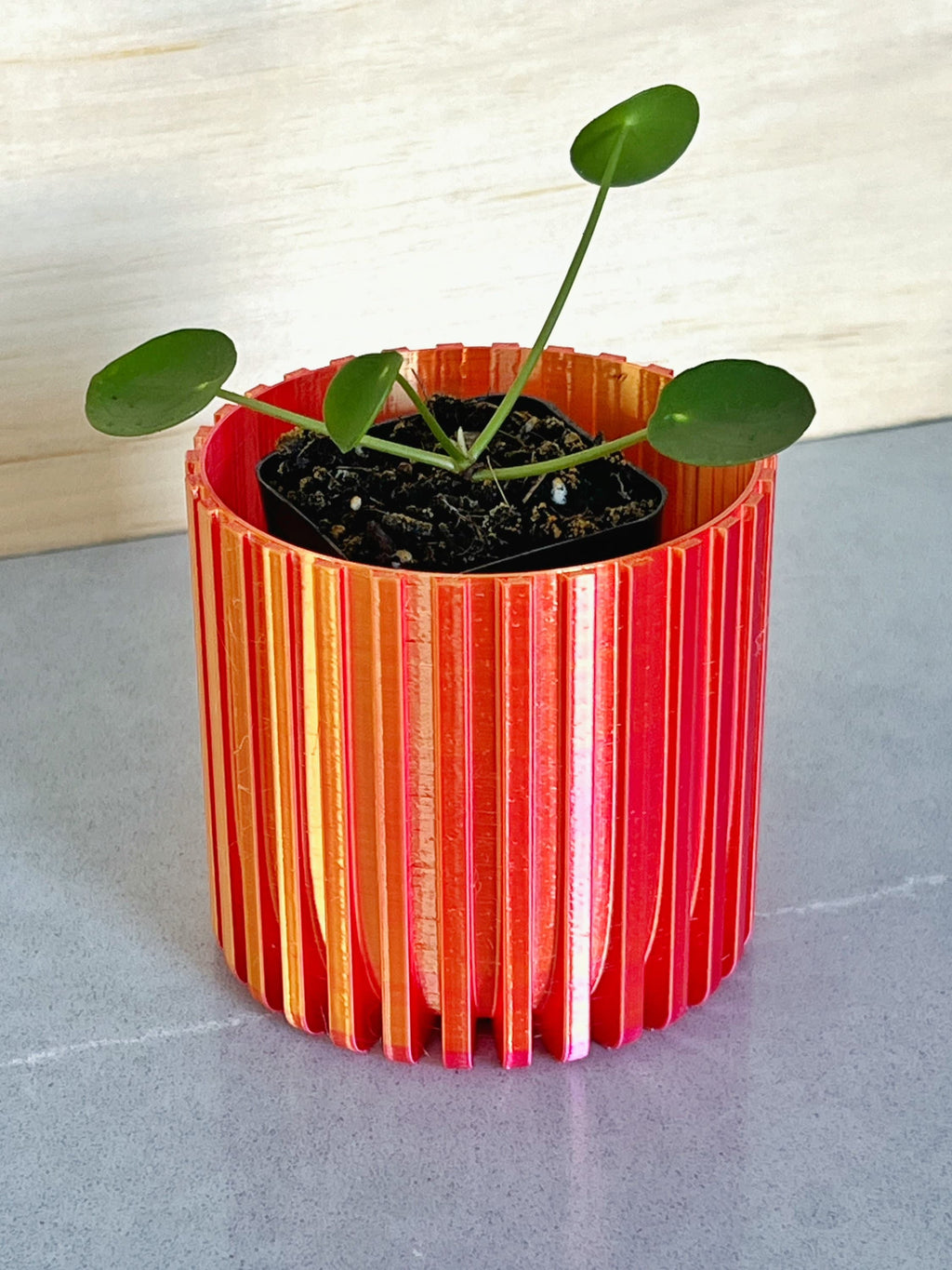 Iridescent orange and pink fluted 3D printed planter holding a pilea plant