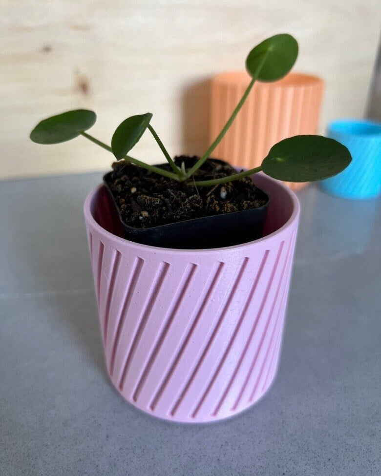 Pink diagonal stripe 3D printed planter holding a pilea plant, with peach and blue planters behind